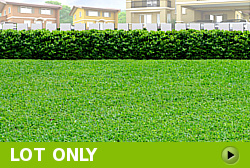 Lot for Sale in Camella Pangasinan